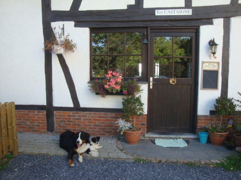 B&B Ter Castaigne Koekelare Экстерьер фото